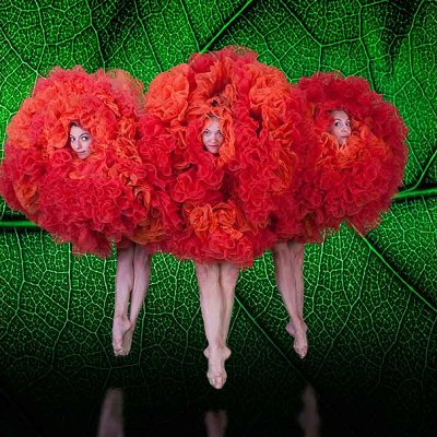 MOMIX Botanica Tickets — Cutler Bay on November 21, 2026 | Weeket