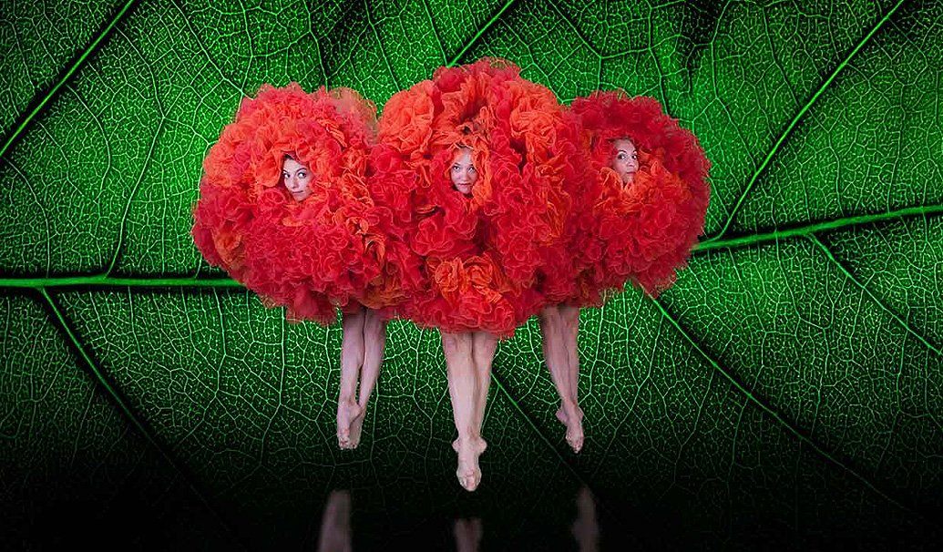 MOMIX Botanica