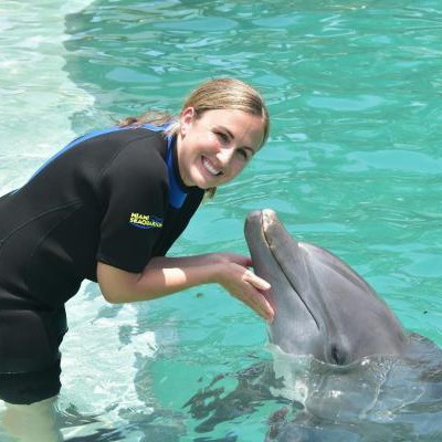 Odyssée des Dauphins 14h00