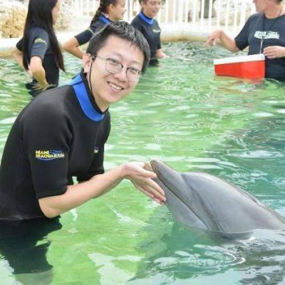下午 3:00 邂逅海豚