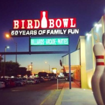 Bird Bowl