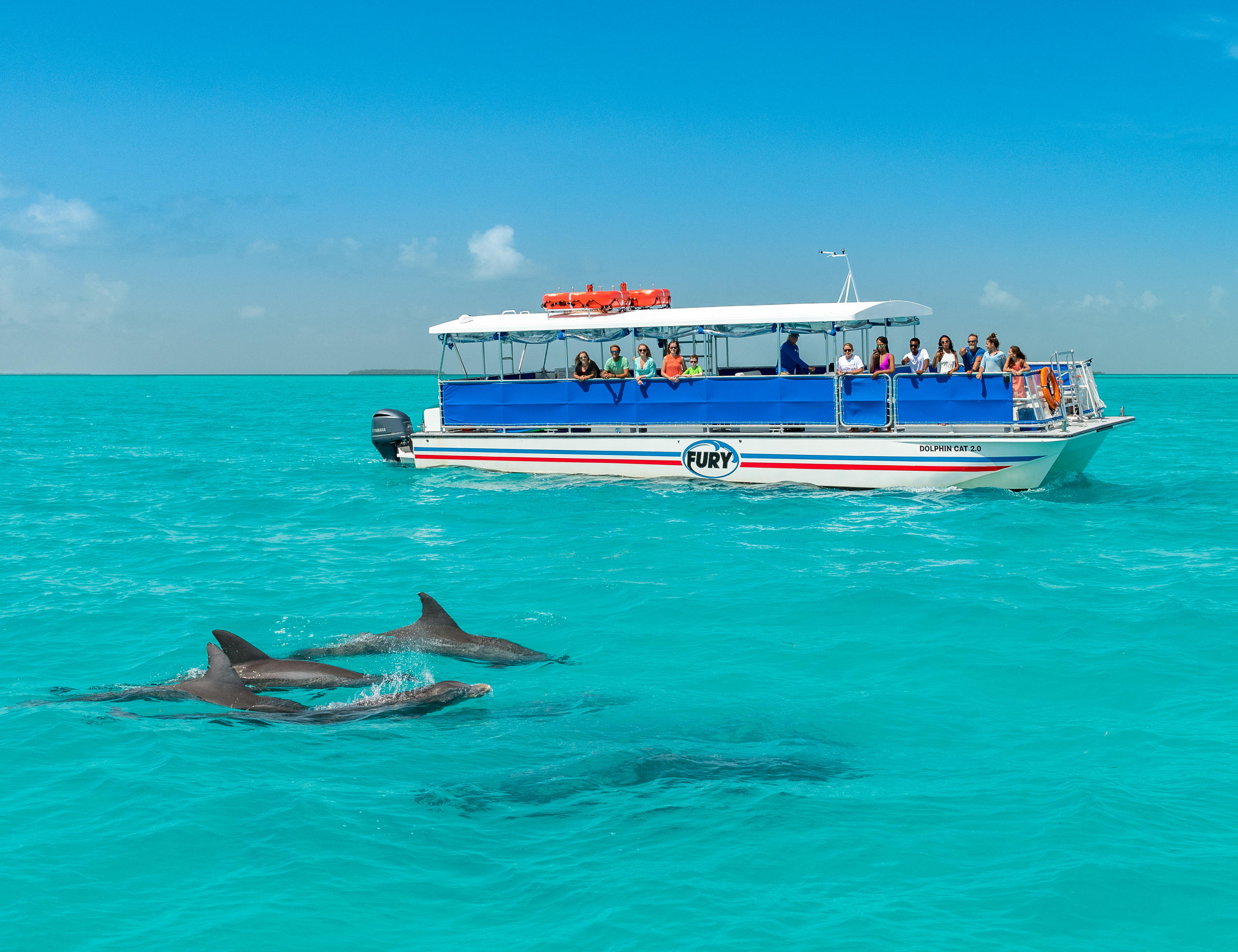 Dolphin Watch & Snorkel Combo — Key West