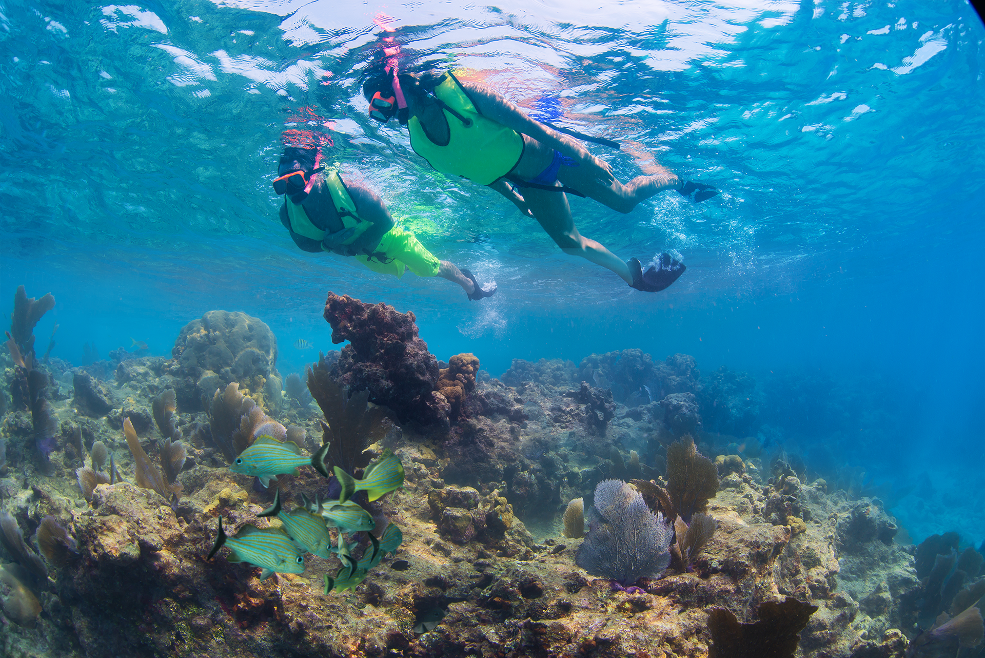 Snorkel & Sunset Sail Rum & Reggae Combo — Key West