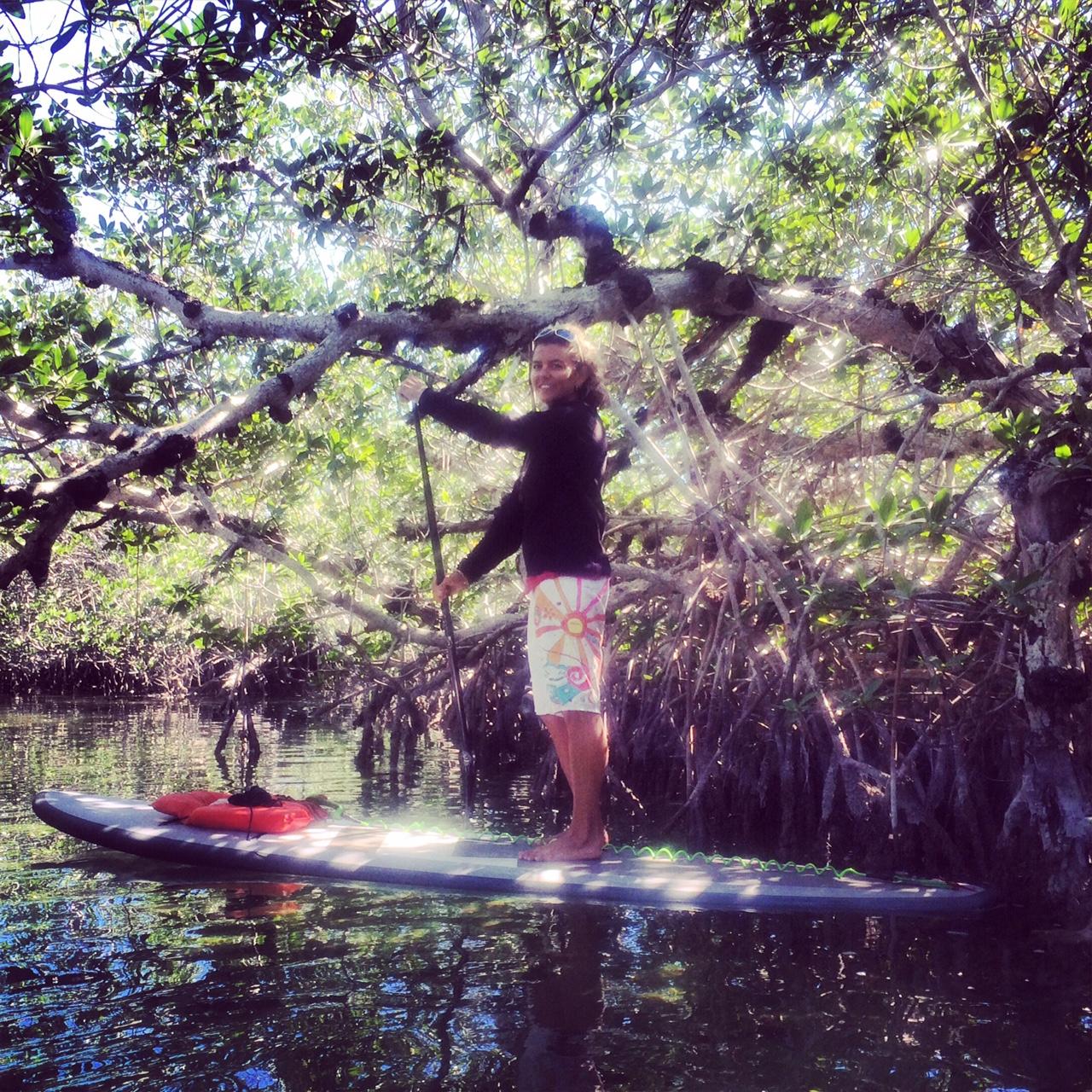2 Hour Paddleboard Eco Tour — Key West