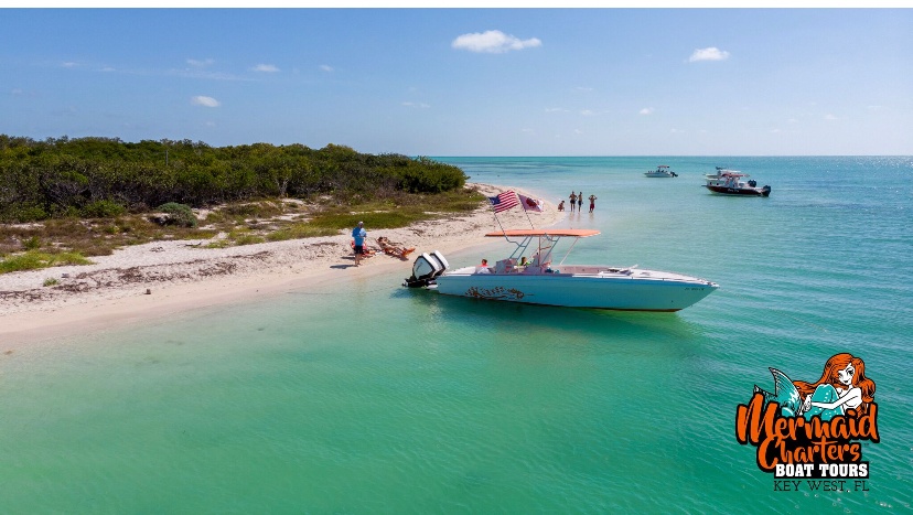 Island Excursion & Dolphin Watching — Key West