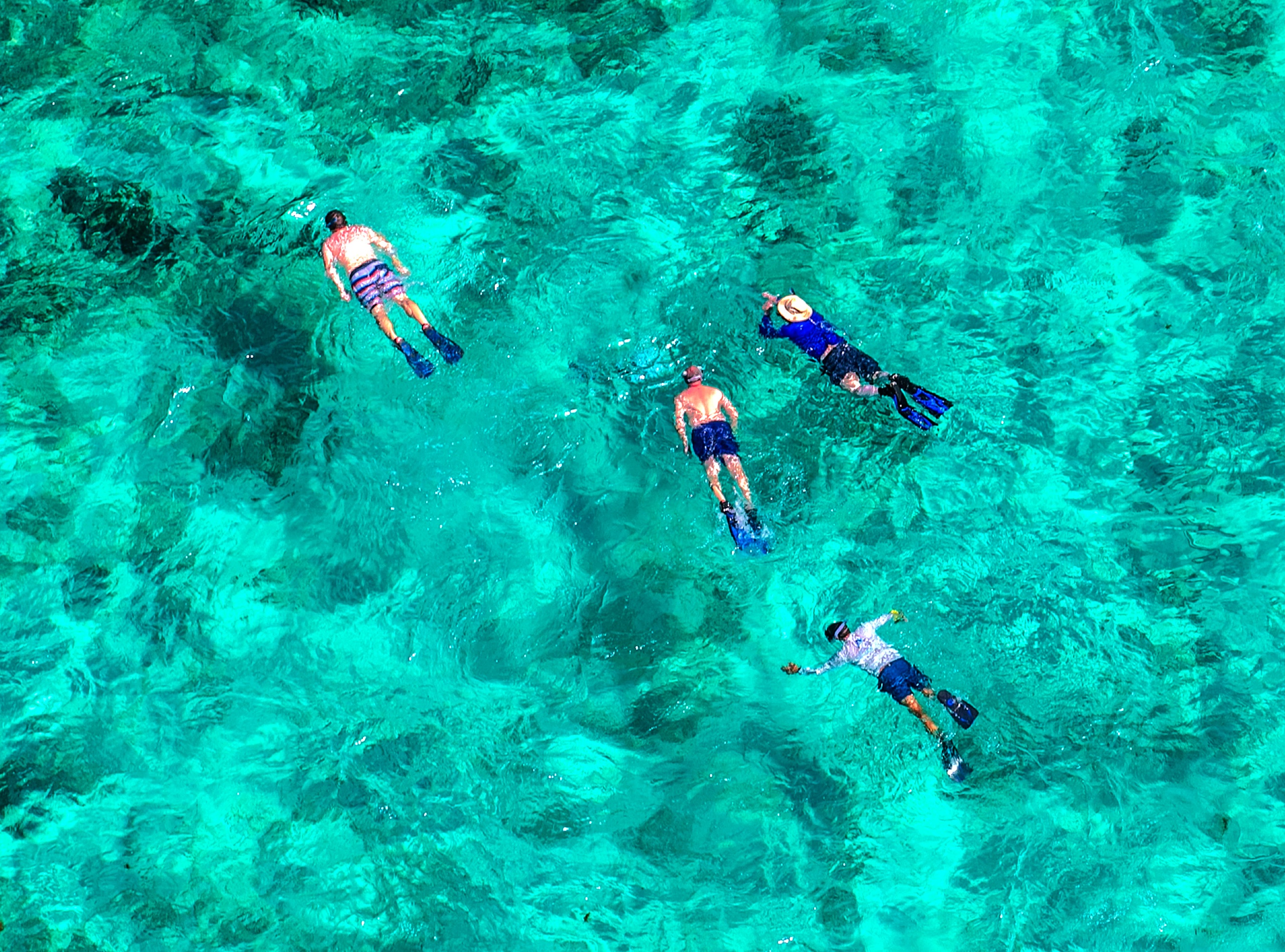 Florida Keys Marine Eco Adventure — Hollywood
