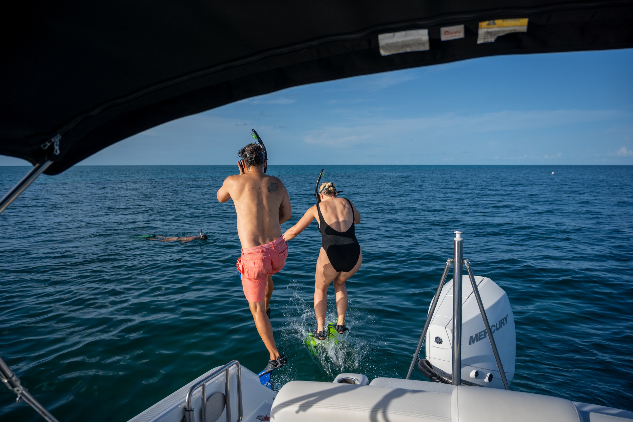 Dolphin & Snorkeling — Key West