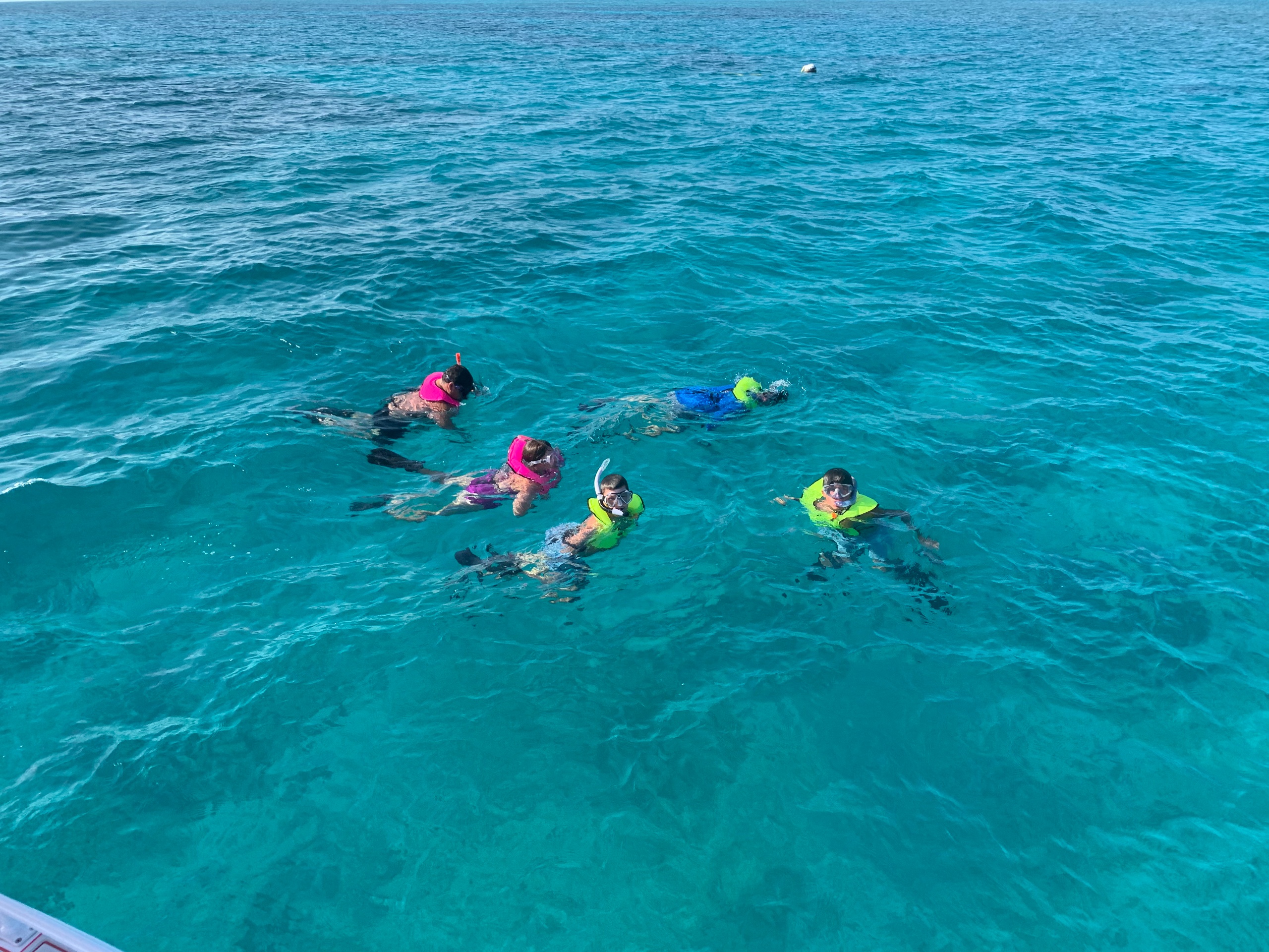 Snorkeling Excursion! — Key West