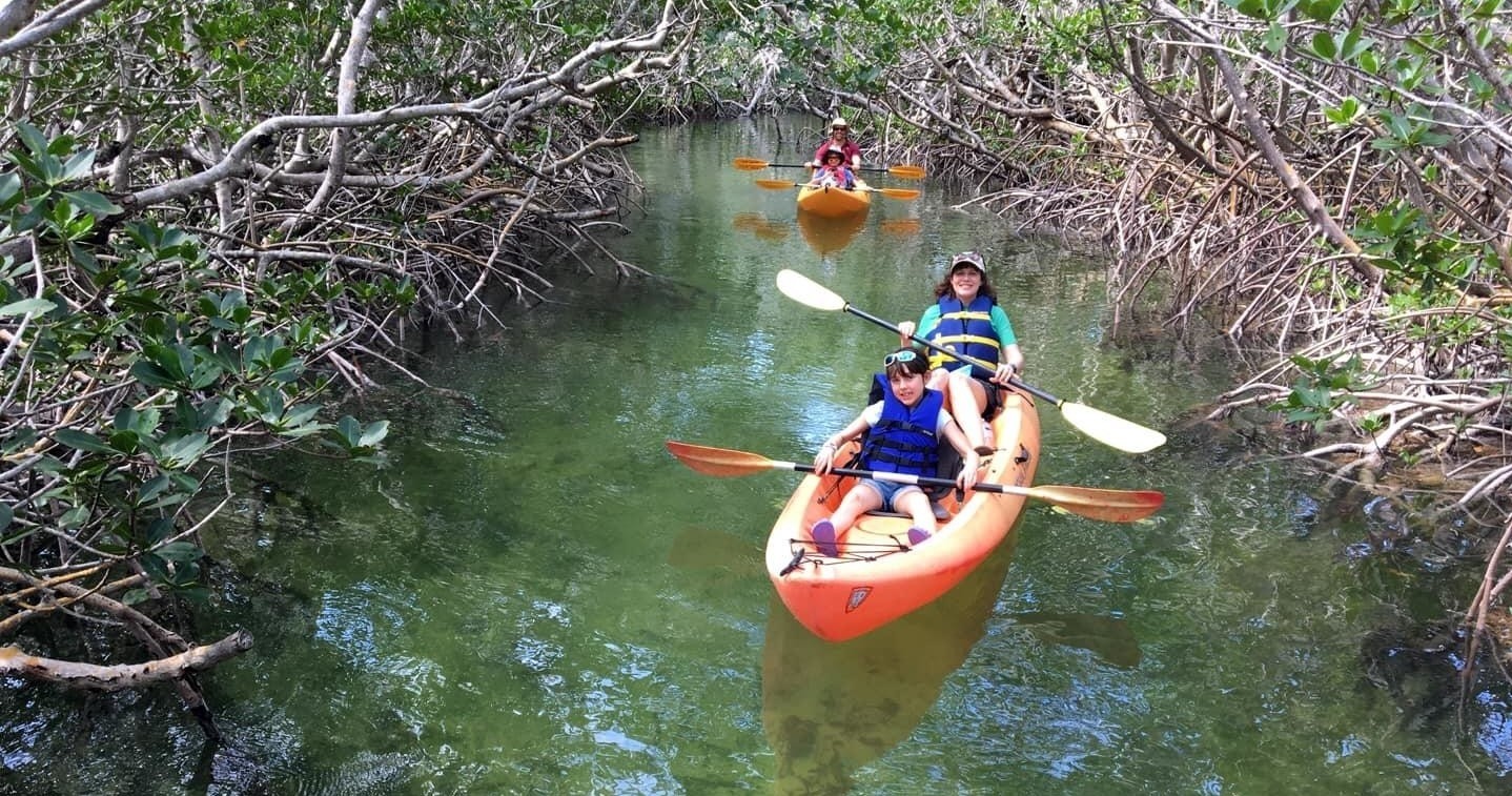 Mangroves & Manatees Guided Eco-Tour — Tavernier