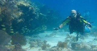 Finz Night Dive - Private 2 Tank