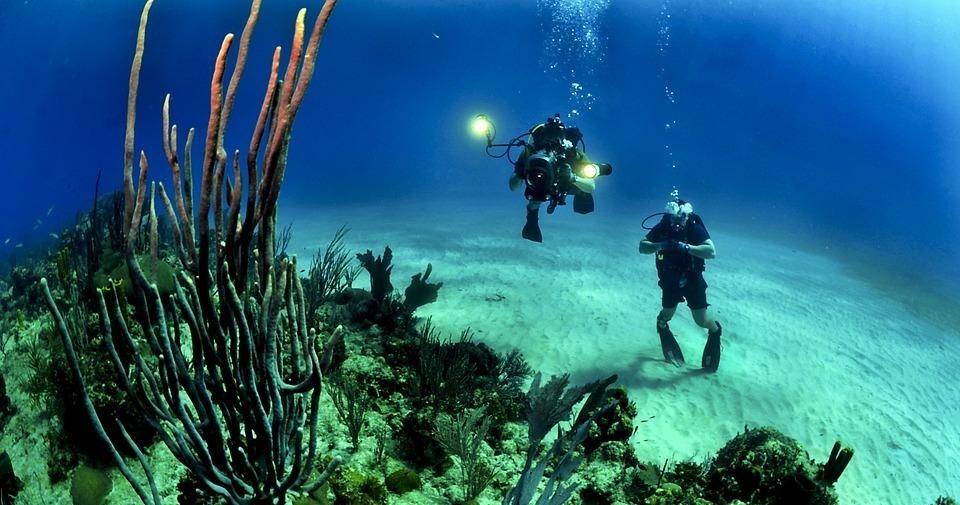 1/2 Day - 2 Tank Private Dive Trip
