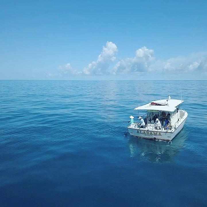 Reef Fishing (4 Hours)