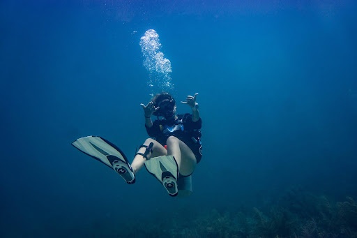 Afternoon Scuba and Snorkel Trips — Islamorada