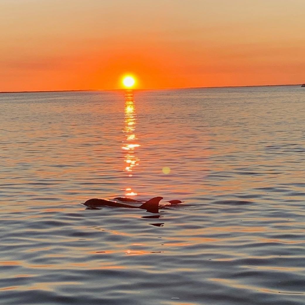 Sunset Cruise — Key Largo