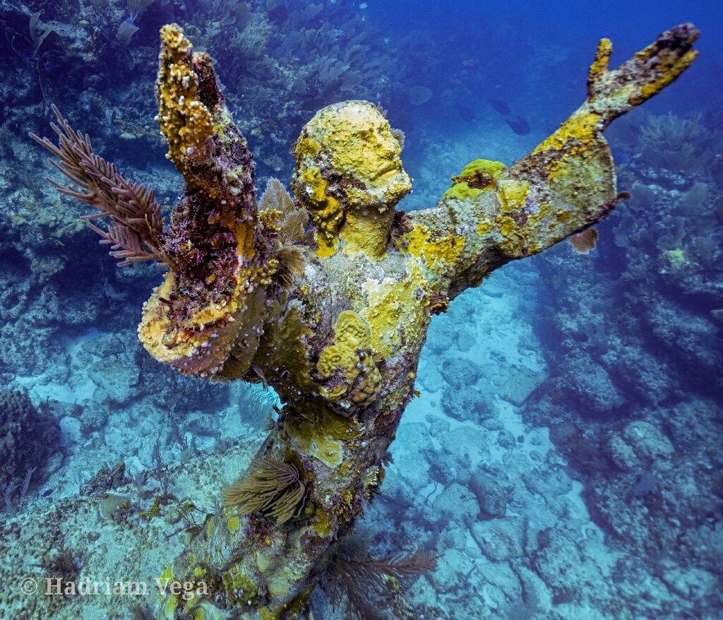 Reef Trip - Scuba Diving/Snorkeling — Key Largo