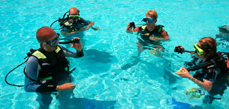 Discover Scuba Diving — Key Largo