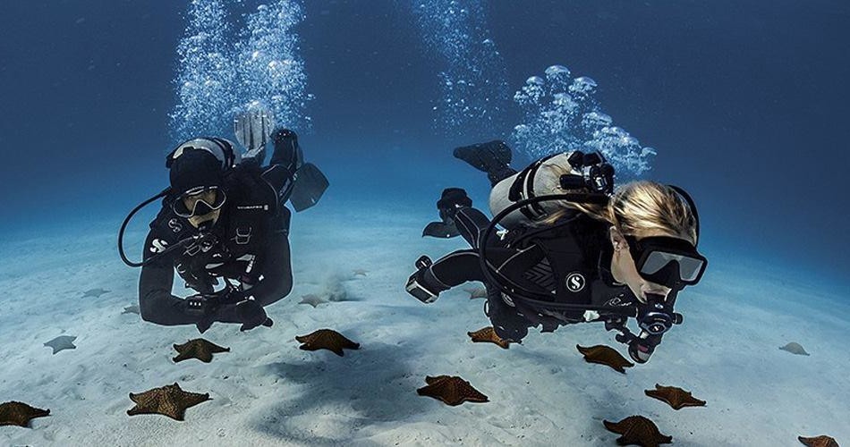 PADI Peak Performance Buoyancy — Miami Beach