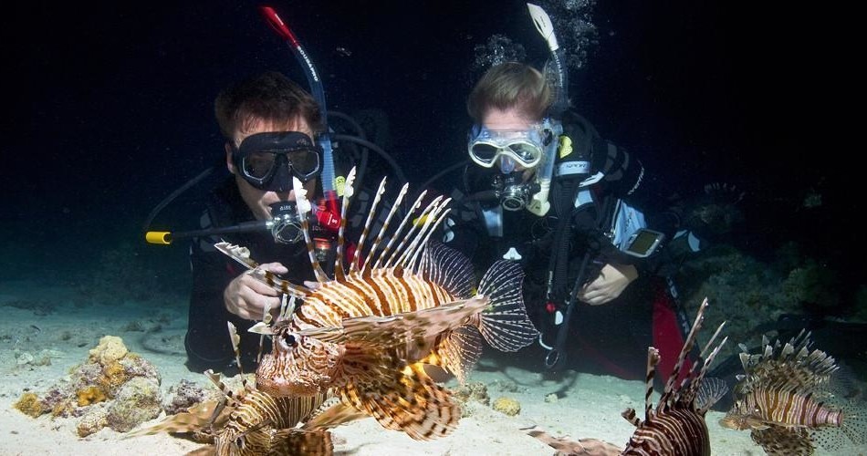 PADI Night Diver — Miami Beach