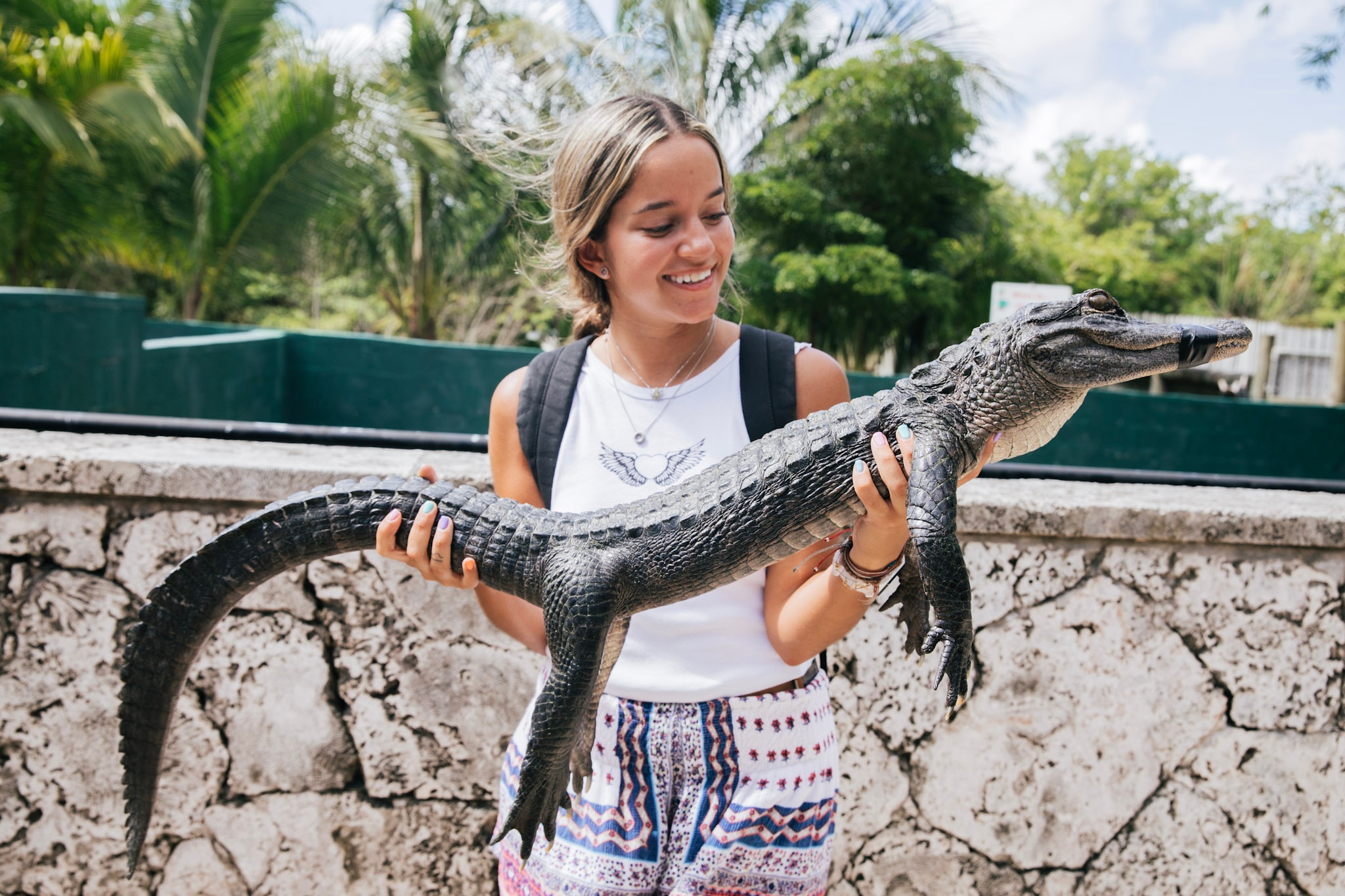 Alligator Encounter Add On — Homestead