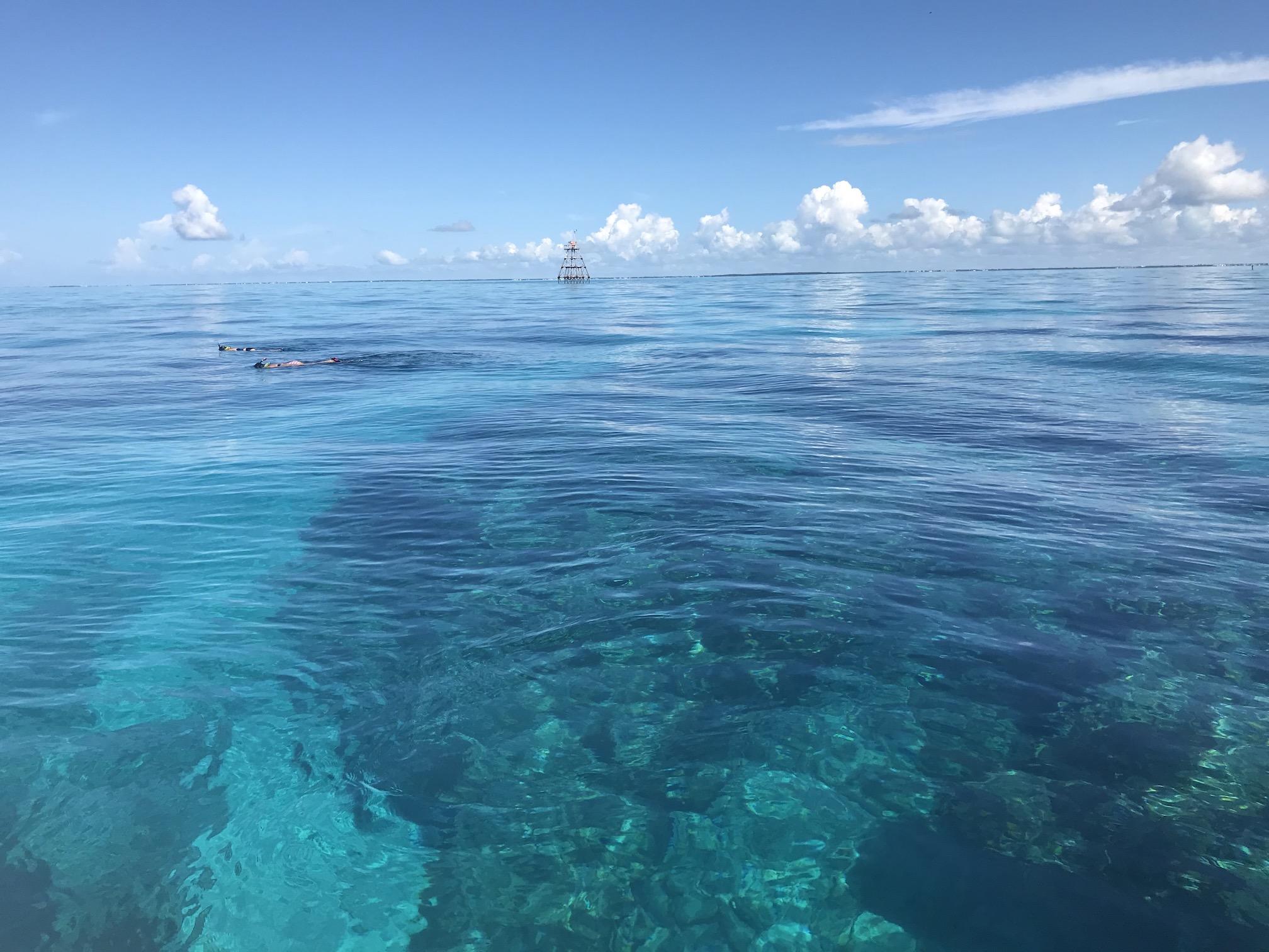 Private Boat Charter - Snorkel or SCUBA — Key Largo