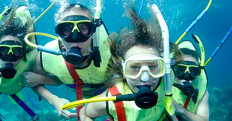Reef Trip