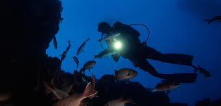 Sunset  | Night Dive Trip