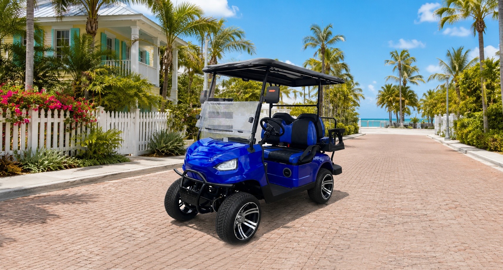 4-Passenger Gas Powered Golf Cart Rental
