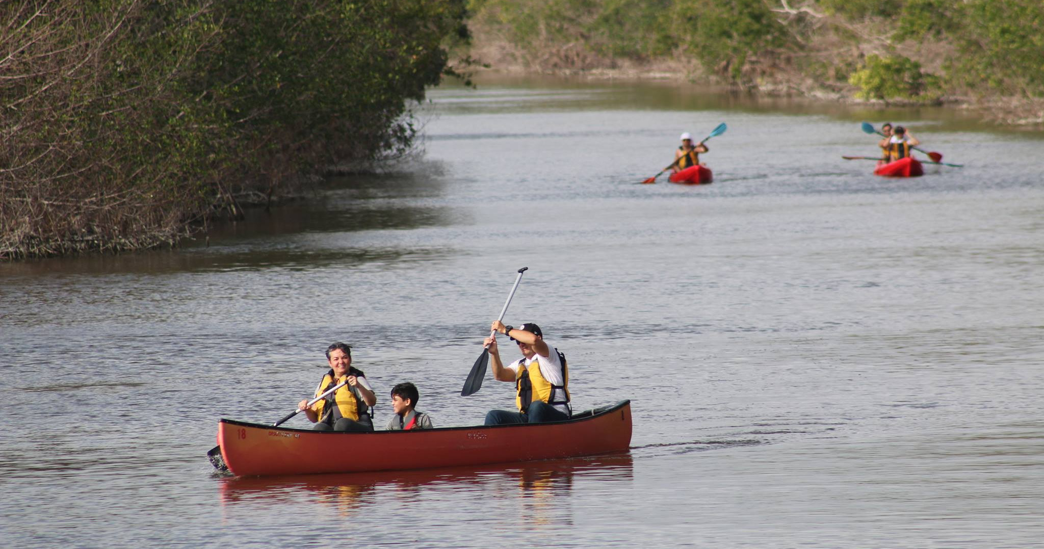 8 Hour Kayak / Canoe Rental — Homestead