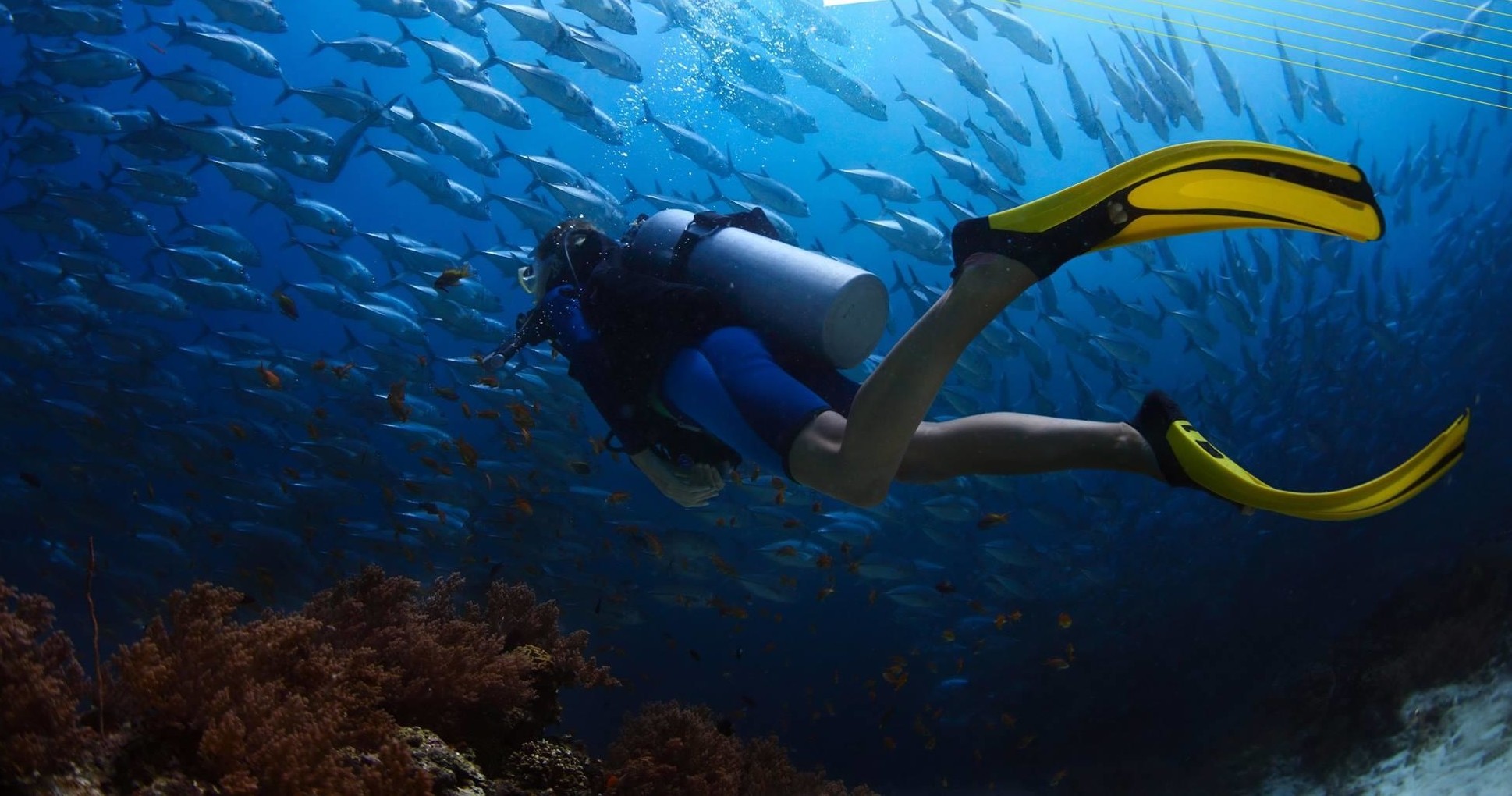Dive Trip — Fort Lauderdale