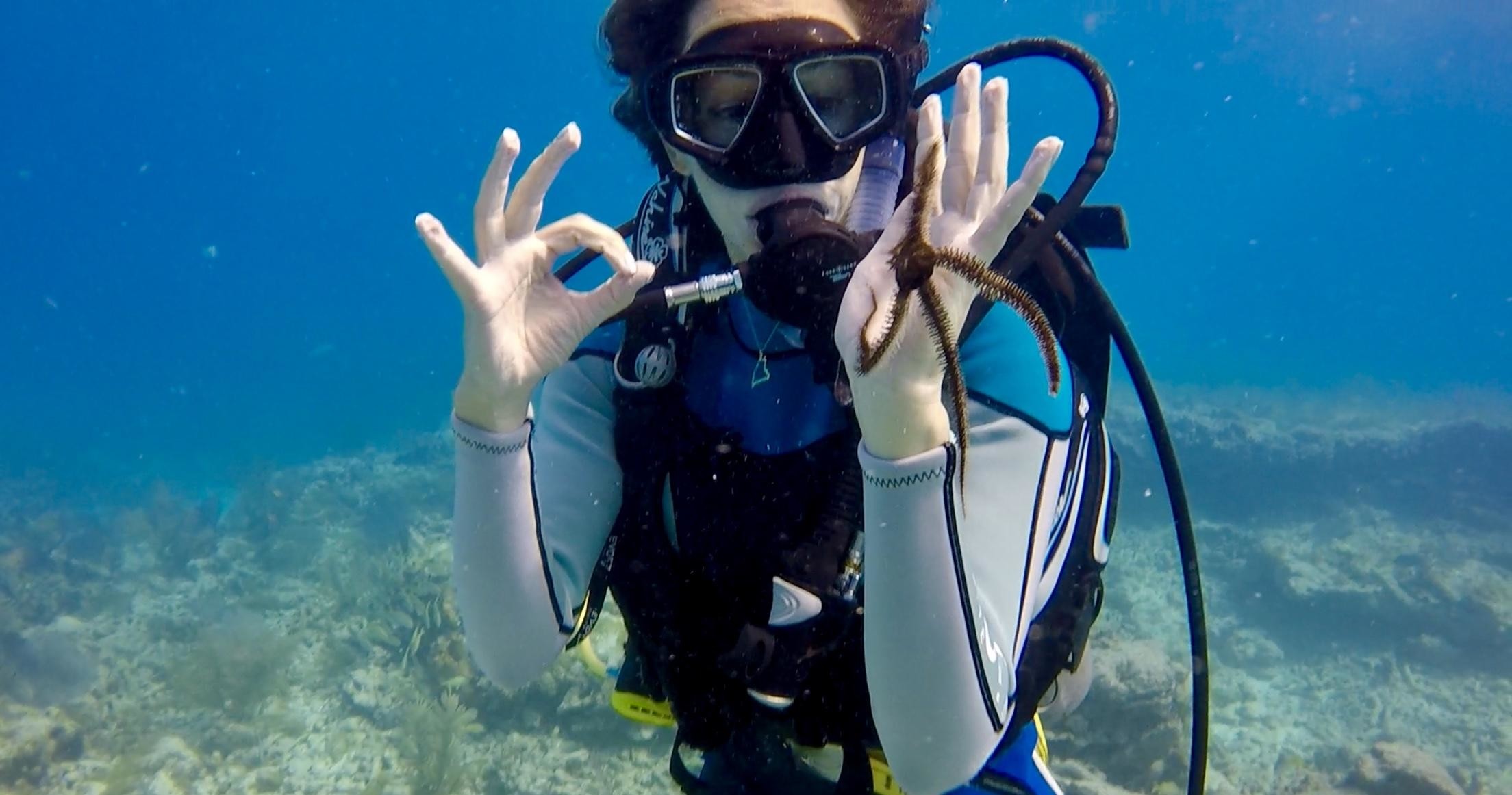 Open Water Check Out Dives