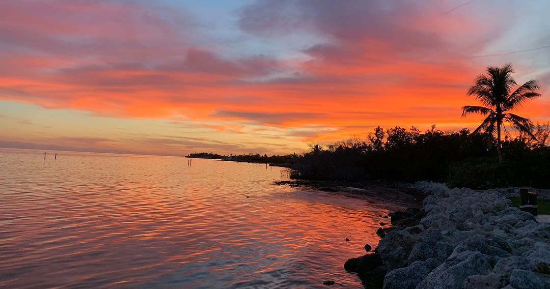 Sightsee Cruise | Custom Routes | Add-on BarHop or Sunset — Miami Beach