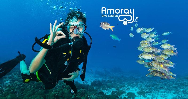 Two-Tank Scuba and Snorkel Trips — Key Largo