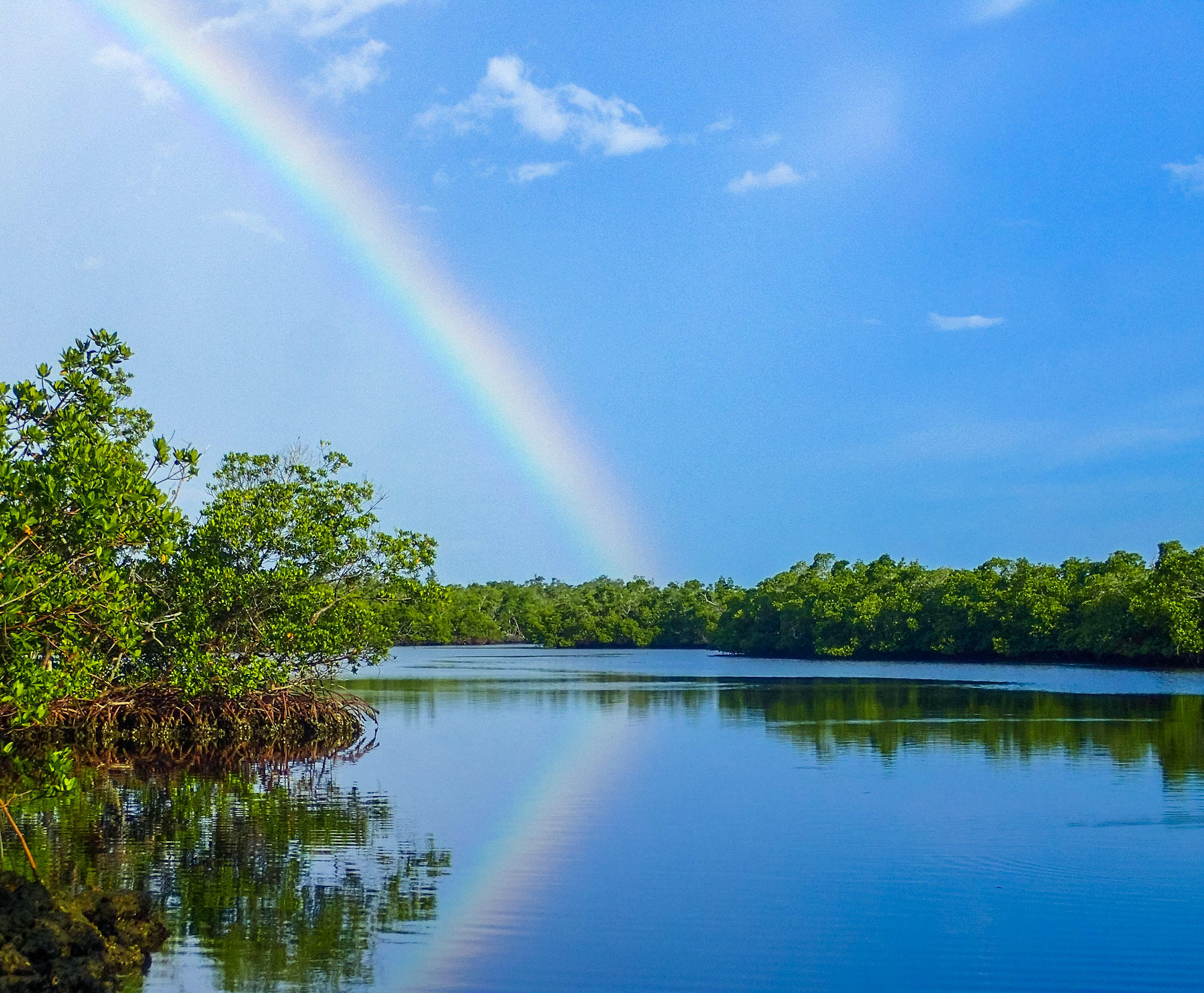 Essence of the Estuary Eco-Cruise
