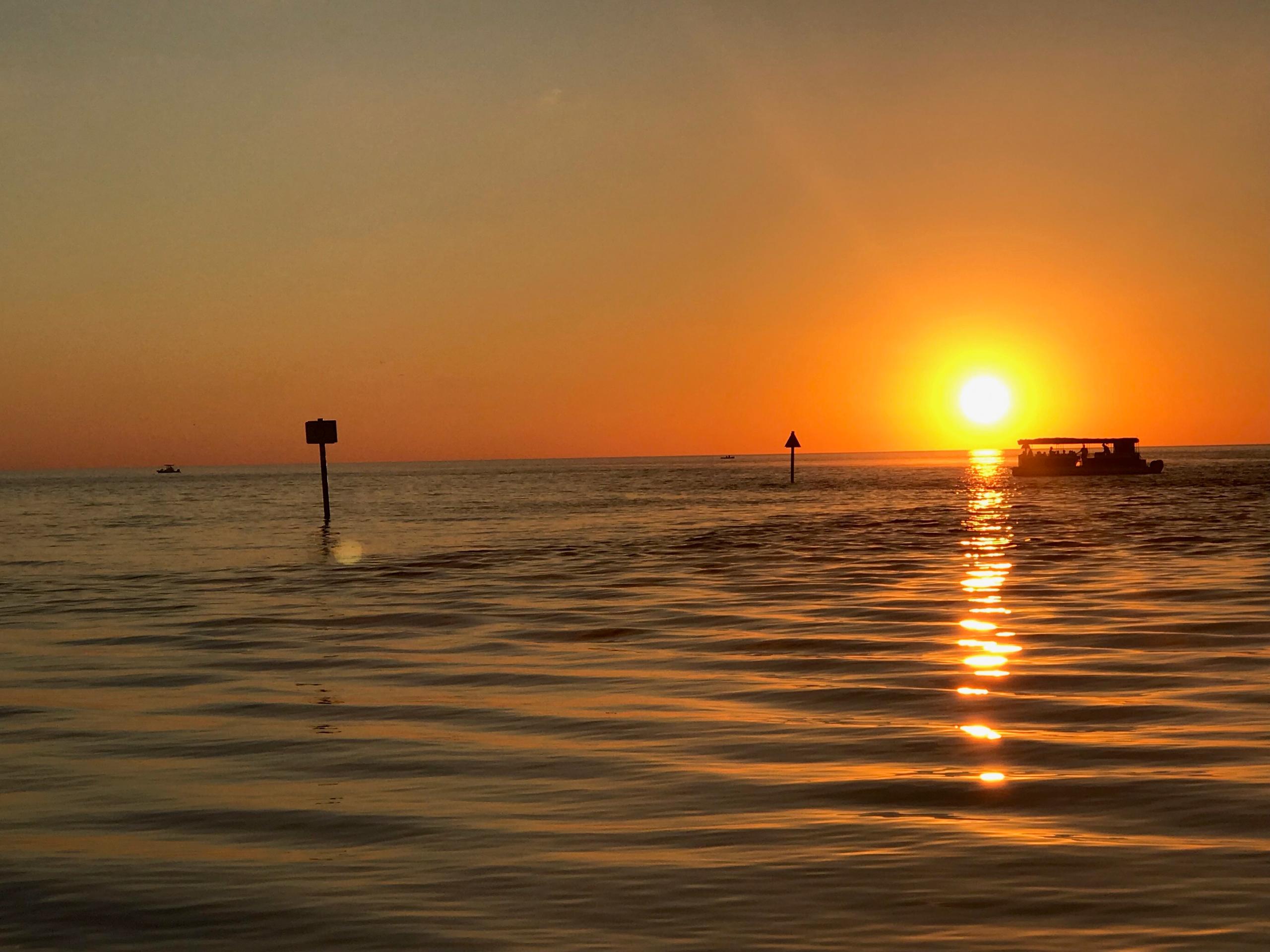 Narrated Dolphin and Sunset Cruise — Naples