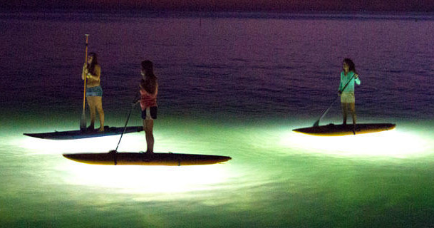 Guided Night Tour in Key West
