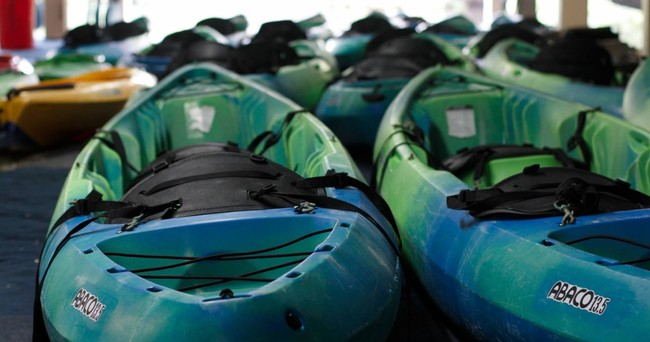 3 Hour Kayak & SUP at AWE Marina — Naples