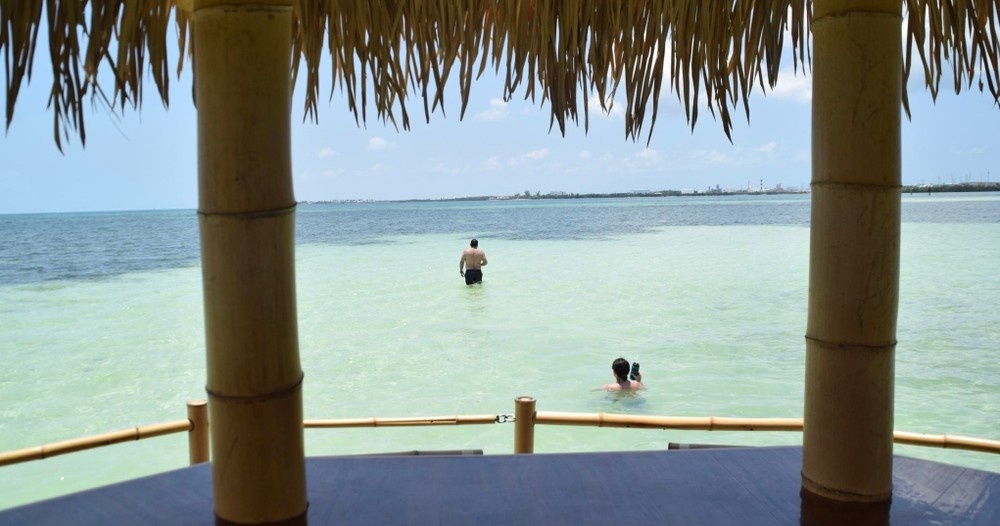 Makai Swim Stop Cruise - Schooner Wharf Dock — Key West