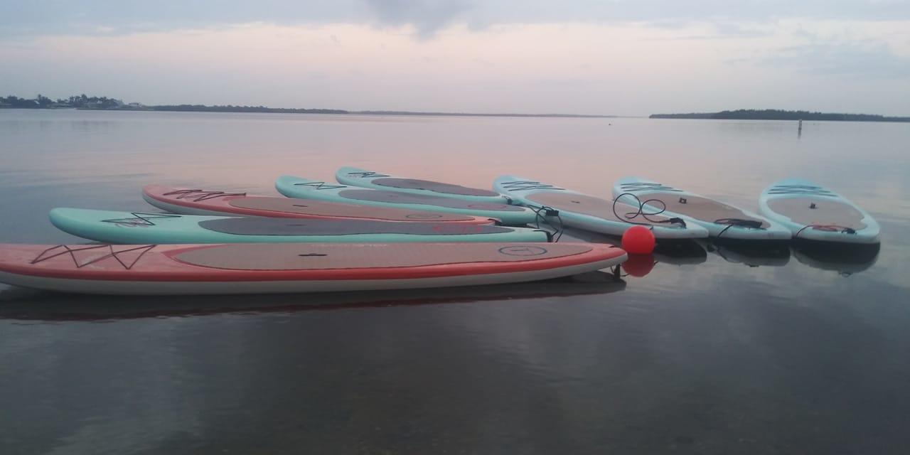 Paddle Board Rentals Multiday — Cape Coral