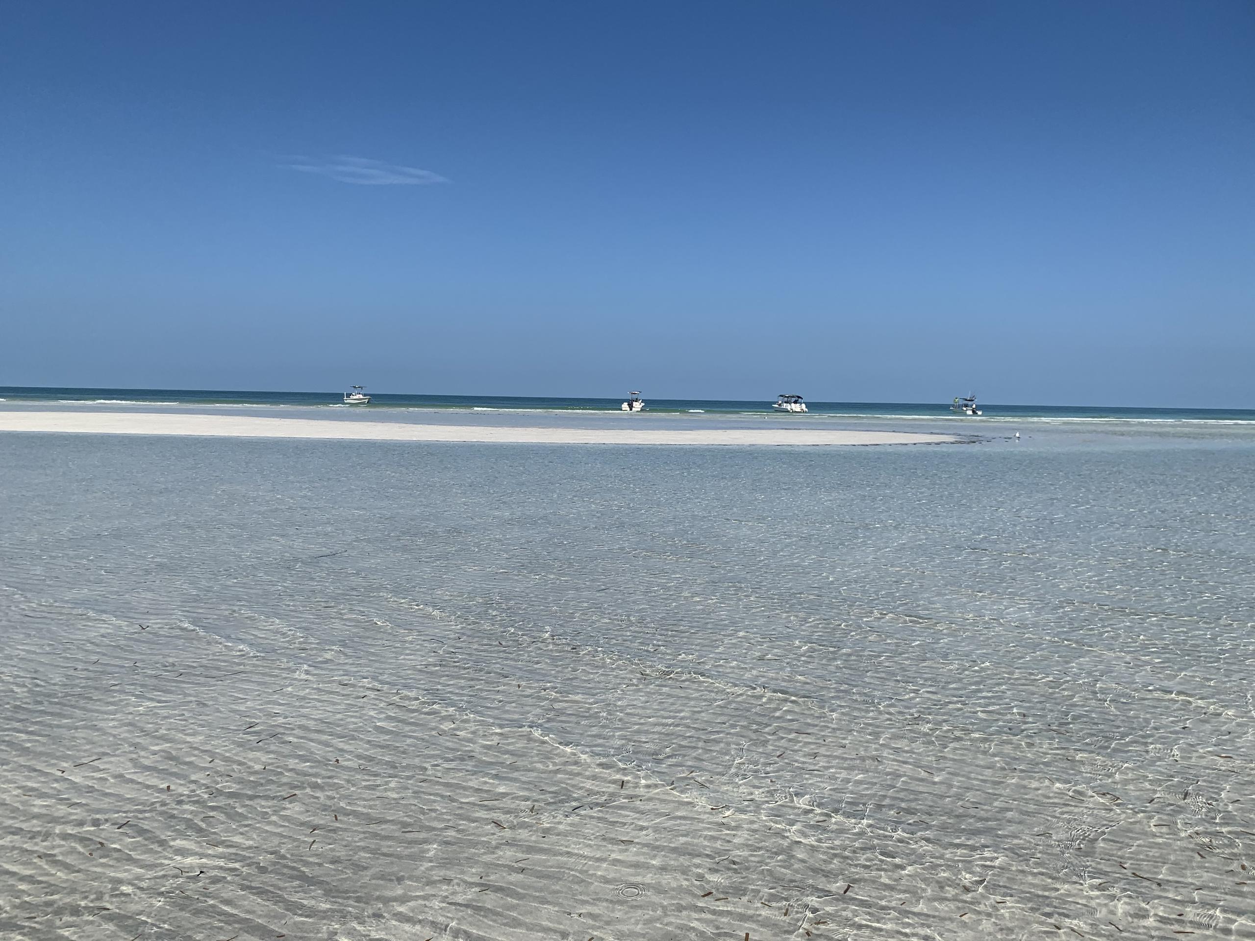 2.5 Hour Sandbar Trip — Key West