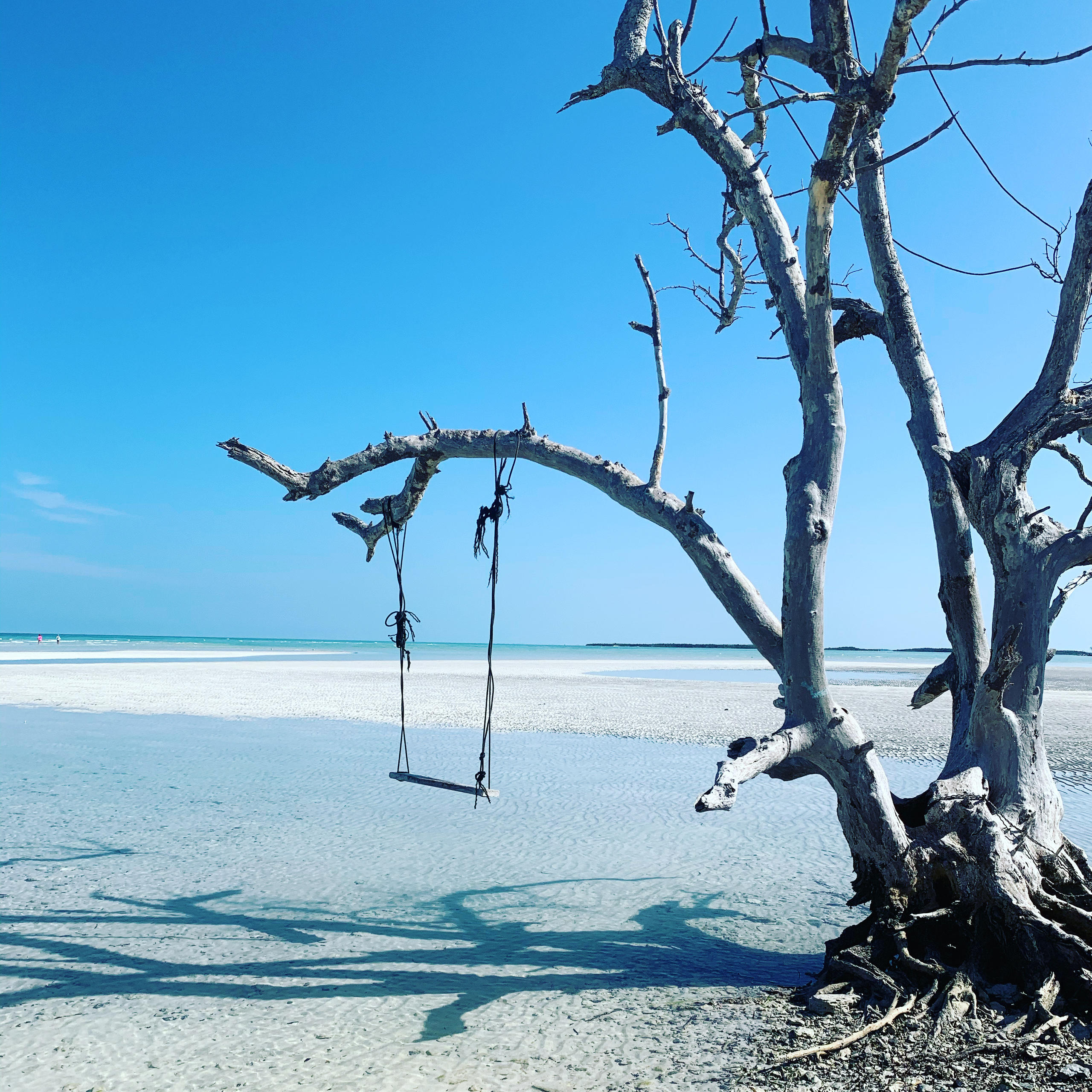6 Hour Sandbar Trip — Key West