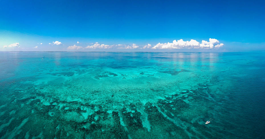 Snorkel Boat Charter — Key Largo