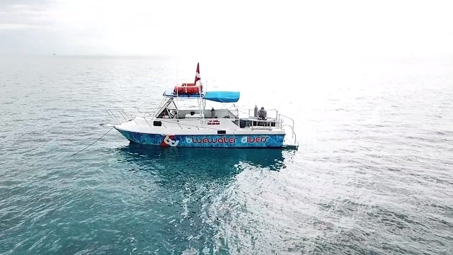 Scuba Diving Boat Charter — Key Largo
