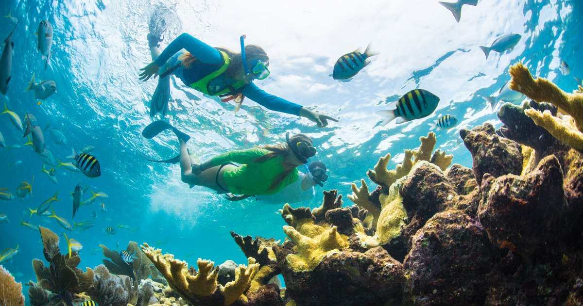 3.5 Hour Private Snorkel Tours — Key Largo
