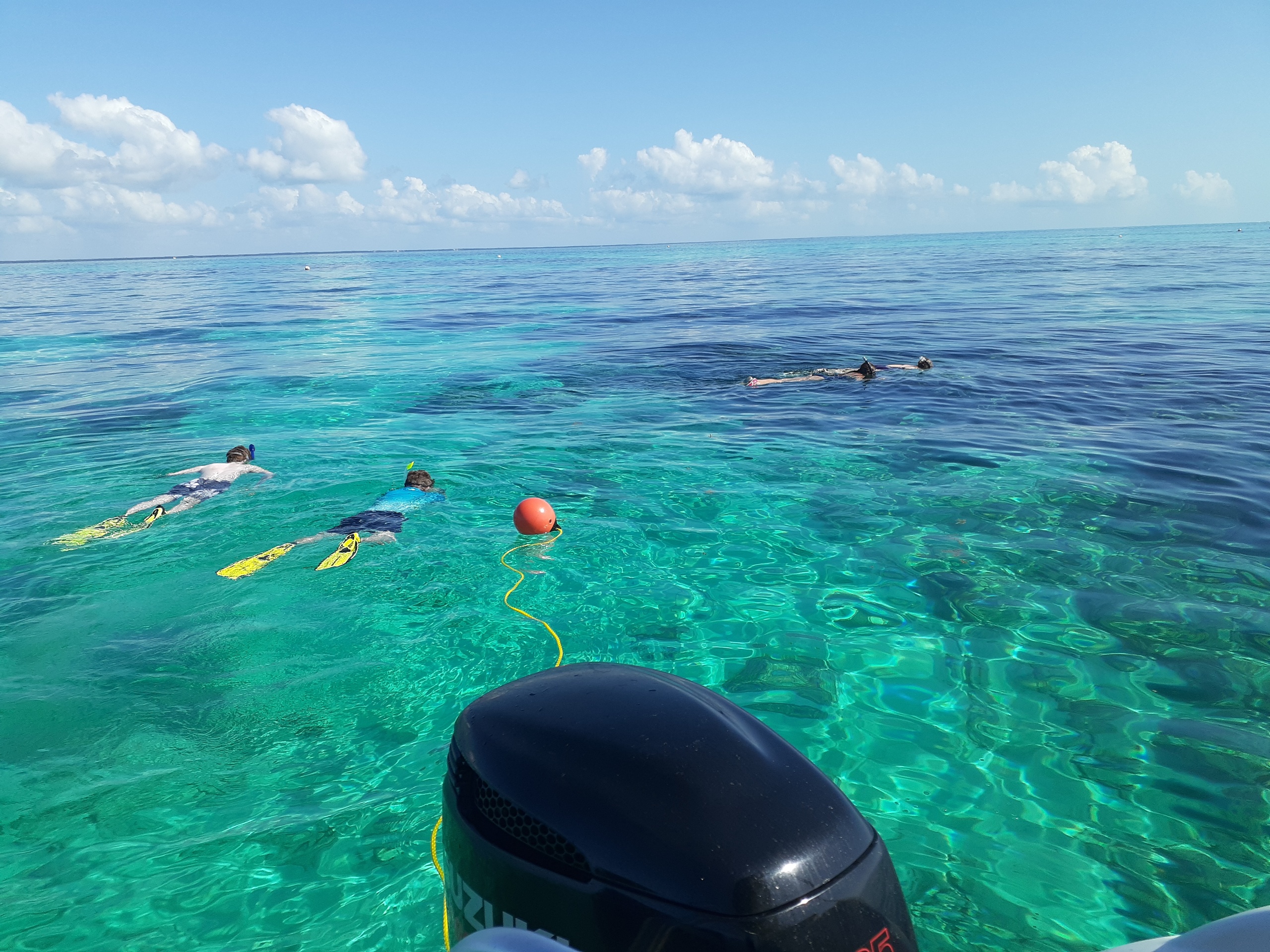 2.5 Hour Private Snorkel Tours — Key Largo