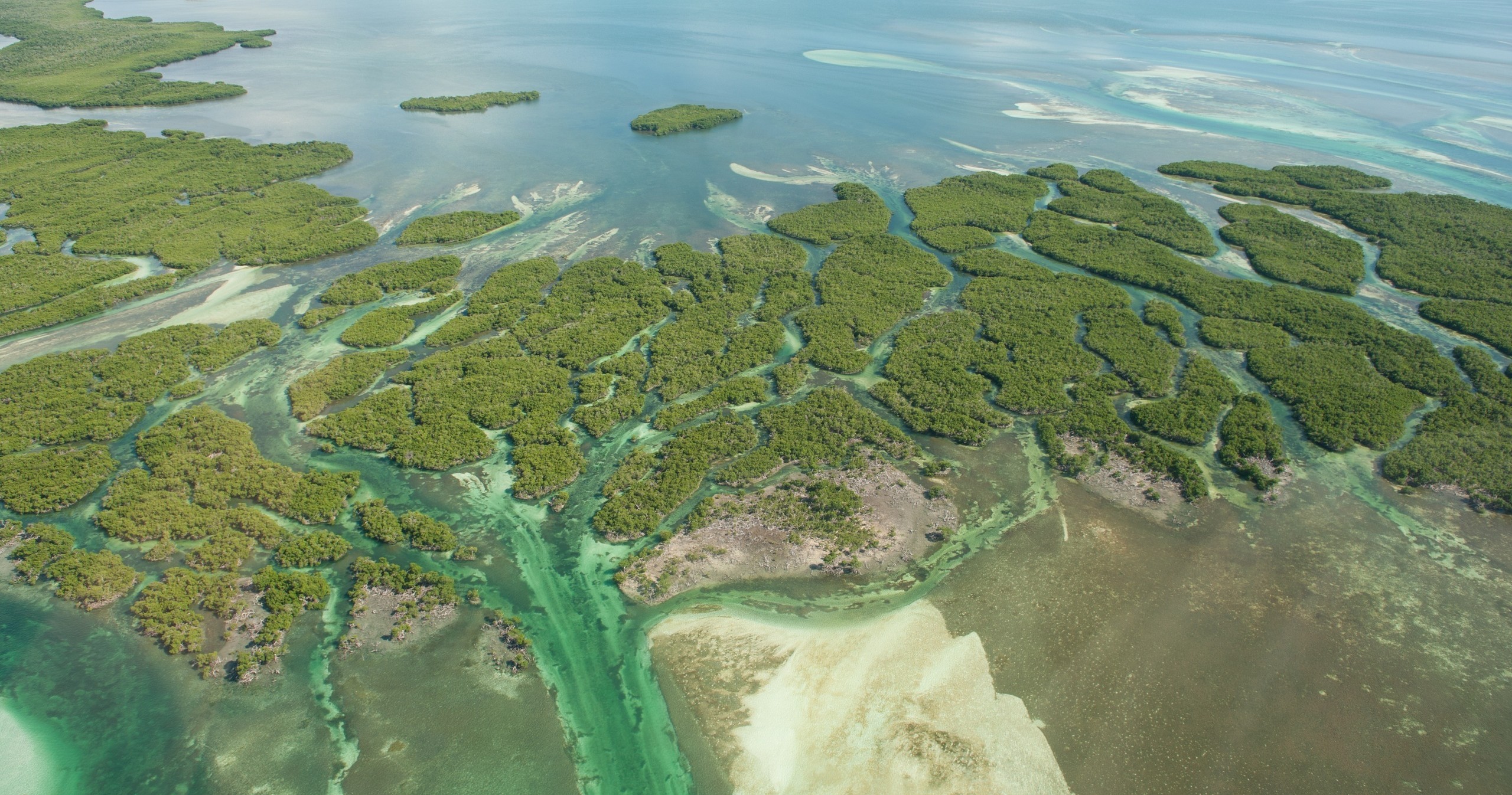 Key West Eco Tour — Key West