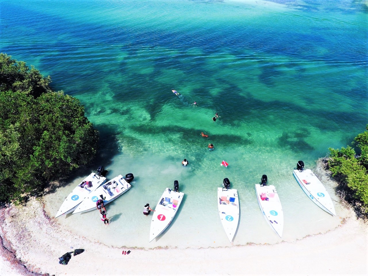 Safari Eco Sandbar Tour — Key West
