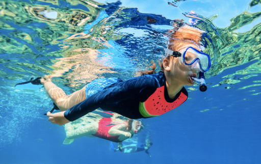 Snorkeling Trip in Miami