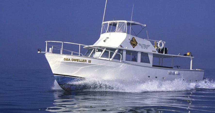 Dive & Snorkel Trips — Key Largo