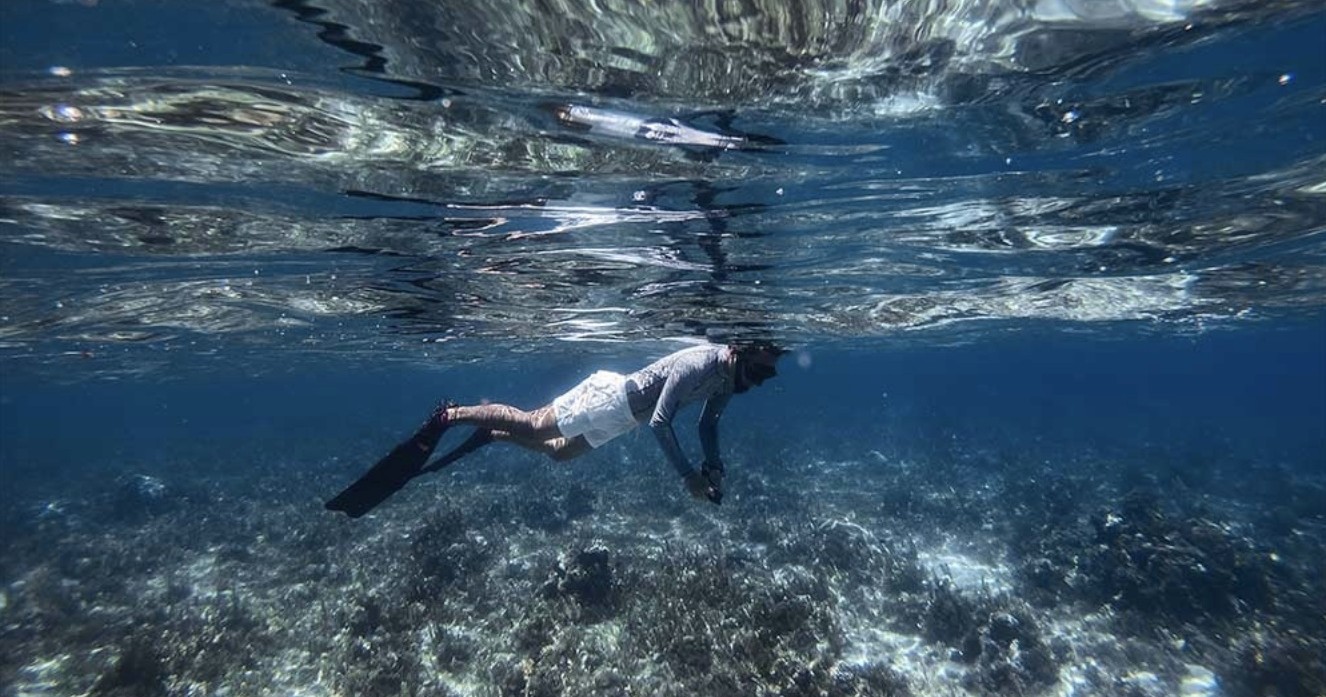 Two Hour Public Tour — Islamorada