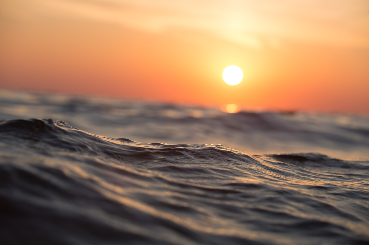 Daily Sunset Cruises — Islamorada